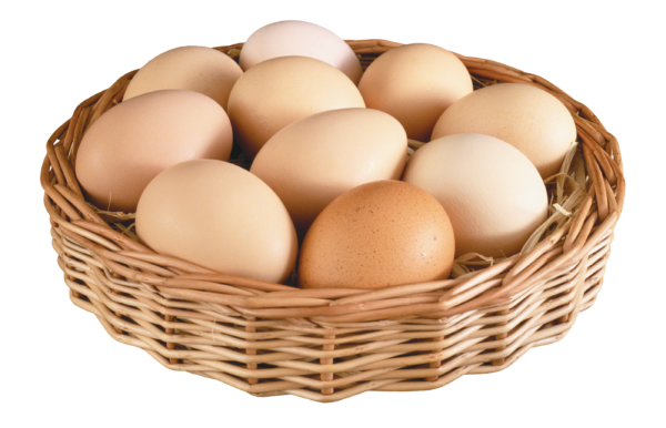 egg png